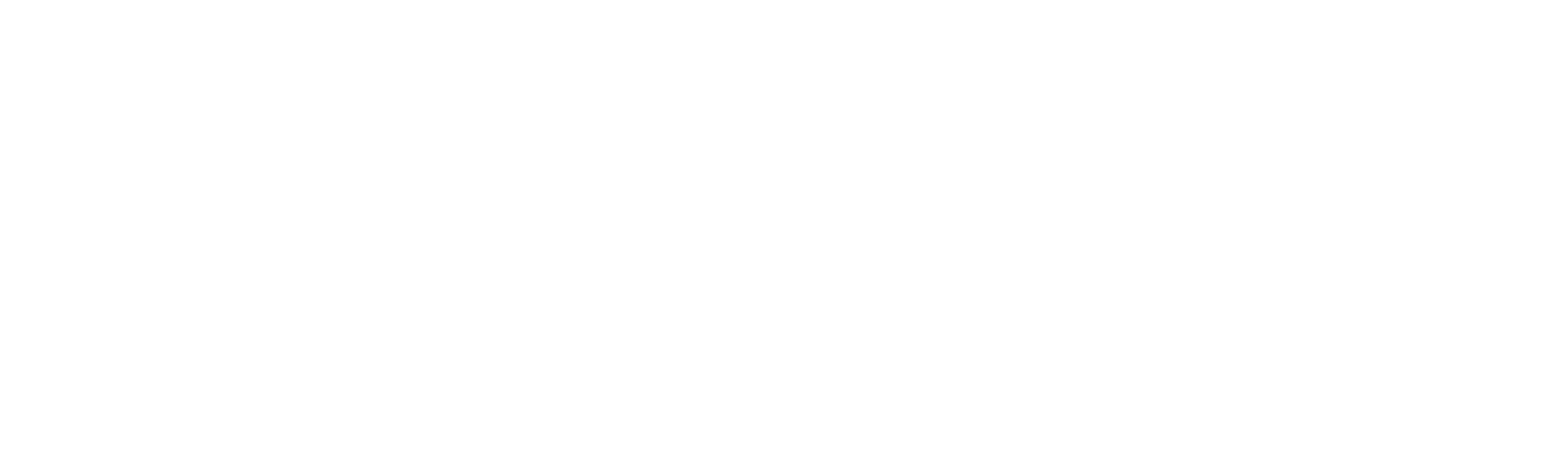 EcoSmart Solution