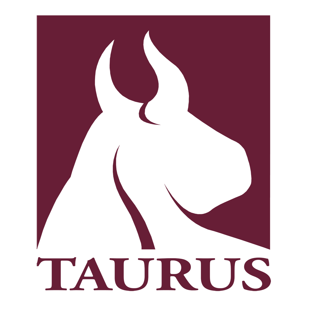 Taurus Investment Holdings