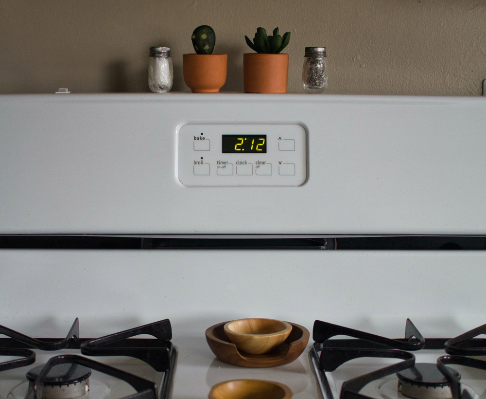 Warranty Ecosmart Smart home